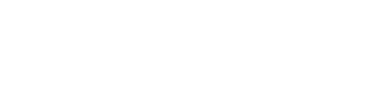 Logo Shopify
